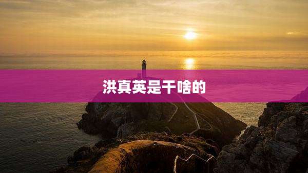 洪真英是干啥的