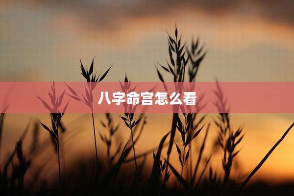 八字命宫怎么看