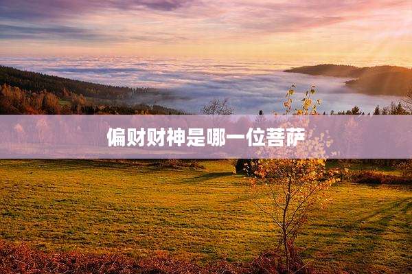 偏财财神是哪一位菩萨