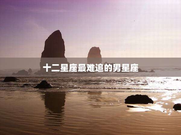 十二星座最难追的男星座