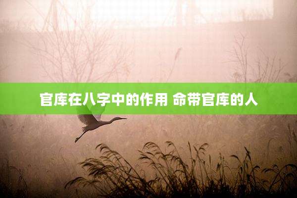 官库在八字中的作用 命带官库的人