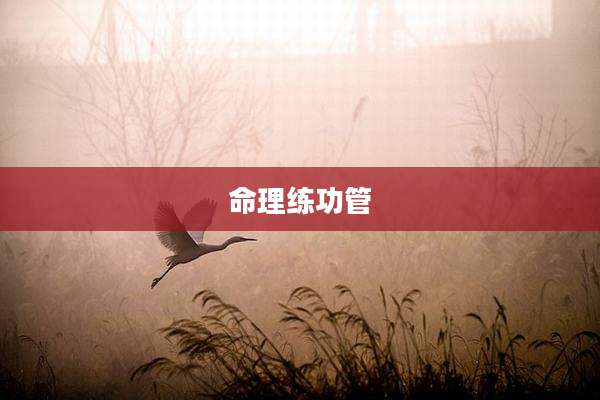 命理练功管