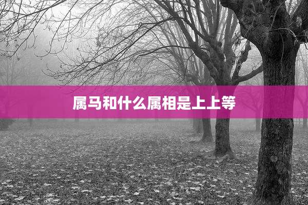 属马和什么属相是上上等