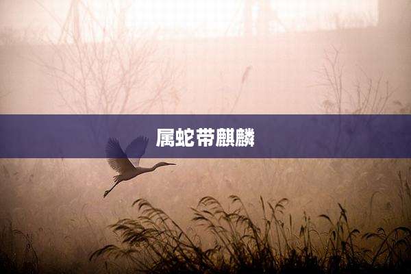 属蛇带麒麟