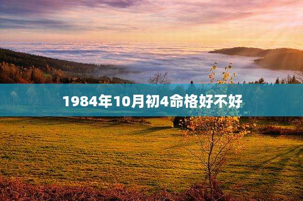 1984年10月初4命格好不好