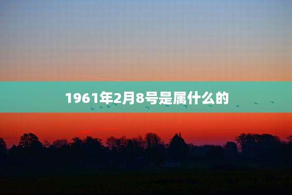 1961年2月8号是属什么的