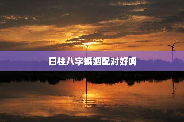 日柱八字婚姻配对好吗