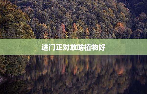 进门正对放啥植物好