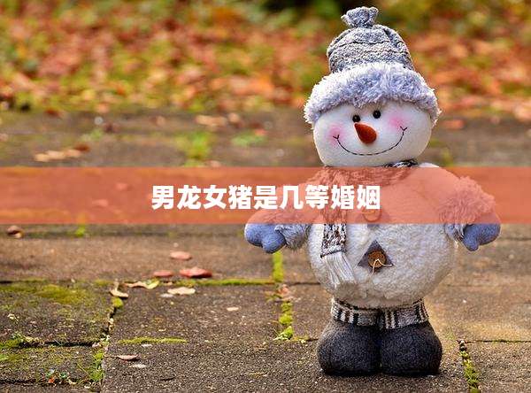 男龙女猪是几等婚姻