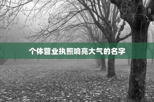 个体营业执照响亮大气的名字