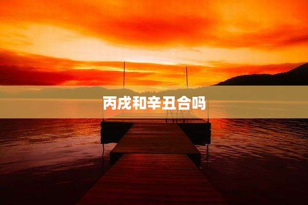 丙戌和辛丑合吗