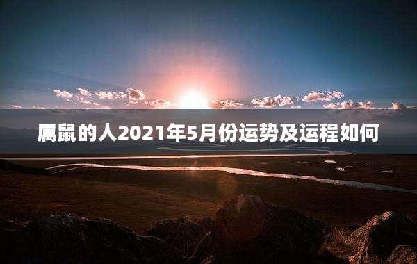属鼠的人2021年5月份运势及运程如何