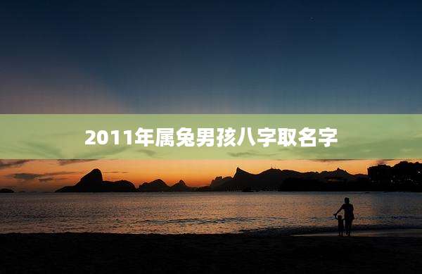 2011年属兔男孩八字取名字