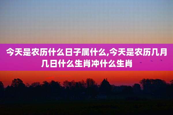 今天是农历什么日子属什么,今天是农历几月几日什么生肖冲什么生肖