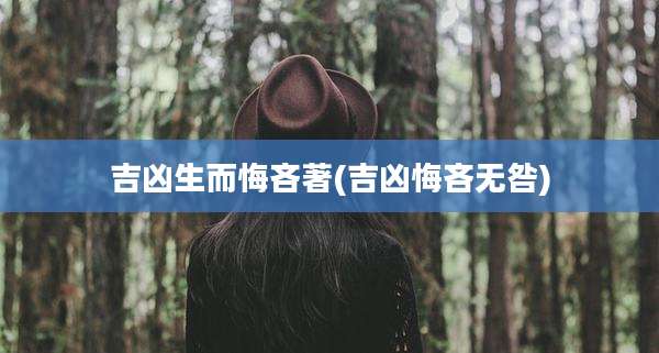 吉凶生而悔吝著(吉凶悔吝无咎)