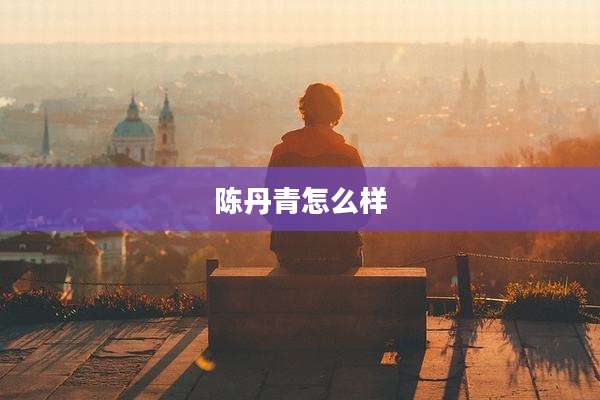 陈丹青怎么样