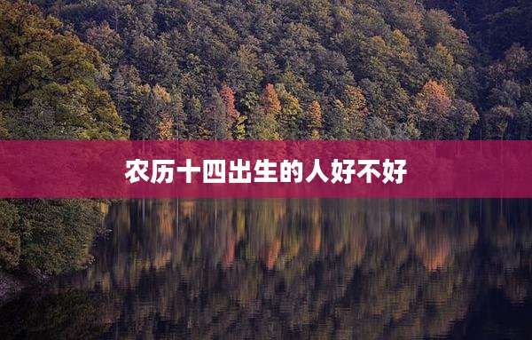 农历十四出生的人好不好