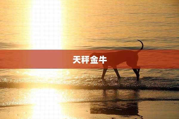 天秤金牛