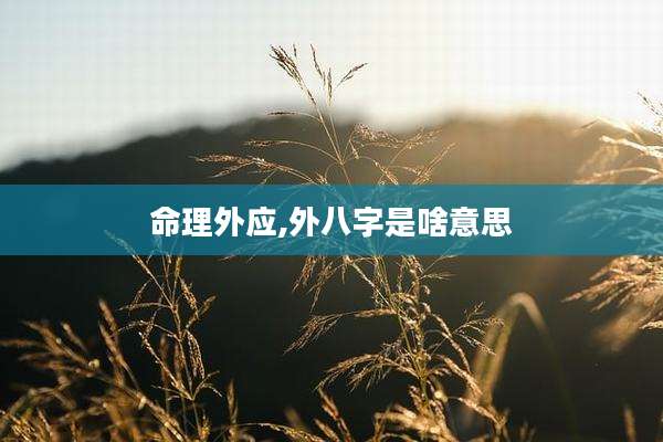 命理外应,外八字是啥意思