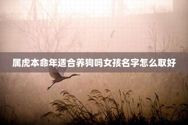 属虎本命年适合养狗吗女孩名字怎么取好