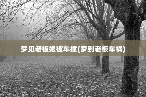 梦见老板娘被车撞(梦到老板车祸)