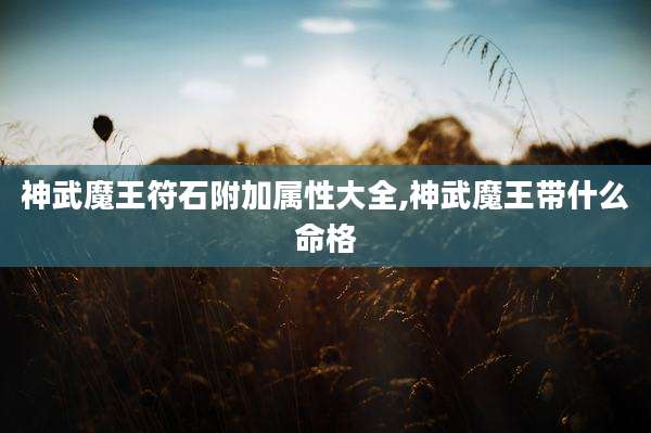 神武魔王符石附加属性大全,神武魔王带什么命格