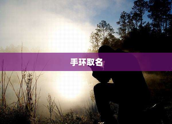 手环取名