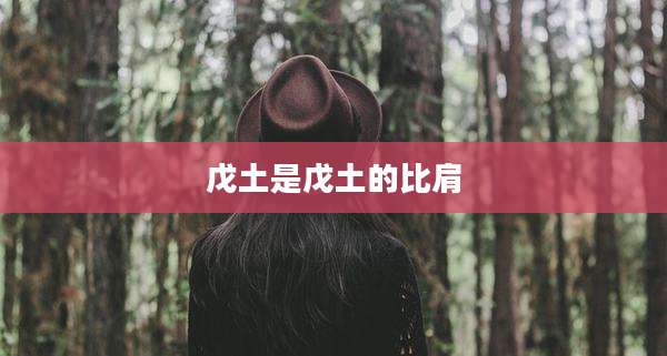 戊土是戊土的比肩