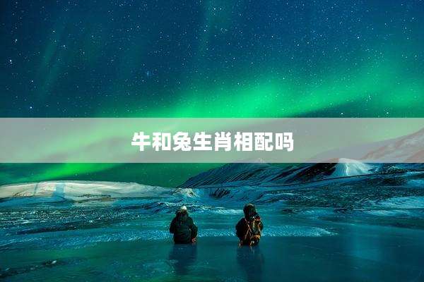 牛和兔生肖相配吗