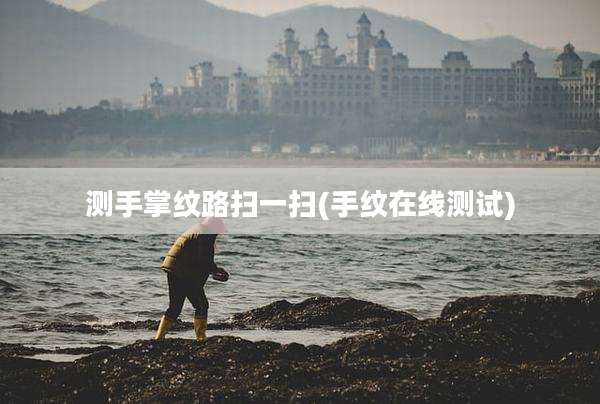 测手掌纹路扫一扫(手纹在线测试)