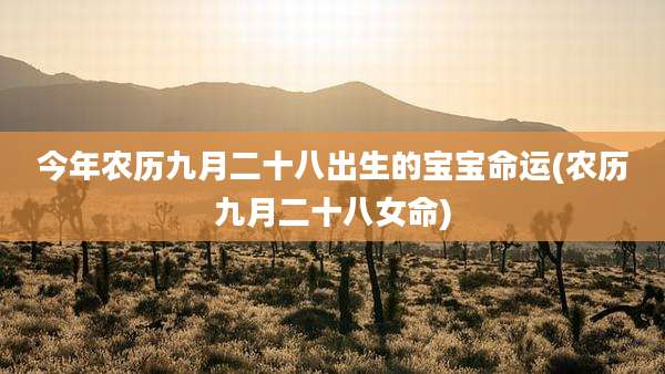 今年农历九月二十八出生的宝宝命运(农历九月二十八女命)