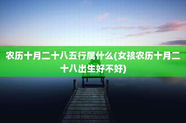 农历十月二十八五行属什么(女孩农历十月二十八出生好不好)