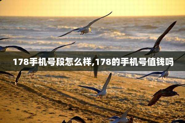 178手机号段怎么样,178的手机号值钱吗