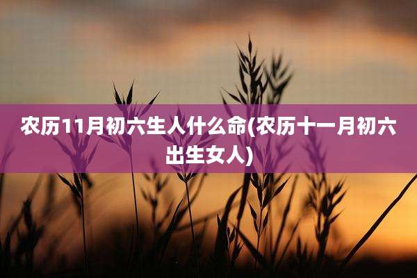农历11月初六生人什么命(农历十一月初六出生女人)
