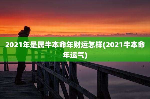 2021年是属牛本命年财运怎样(2021牛本命年运气)