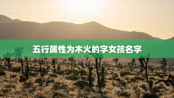 五行属性为木火的字女孩名字