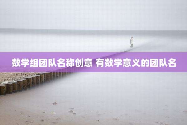 数学组团队名称创意 有数学意义的团队名