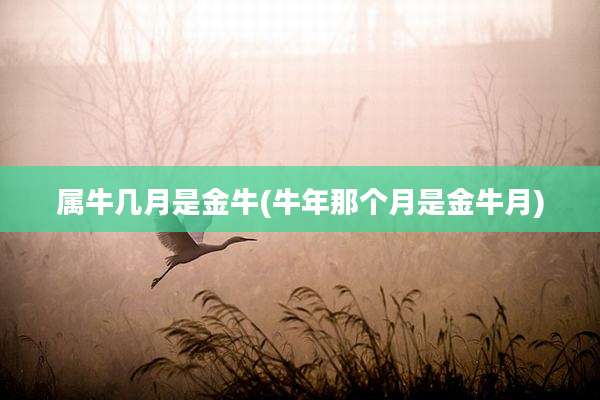 属牛几月是金牛(牛年那个月是金牛月)