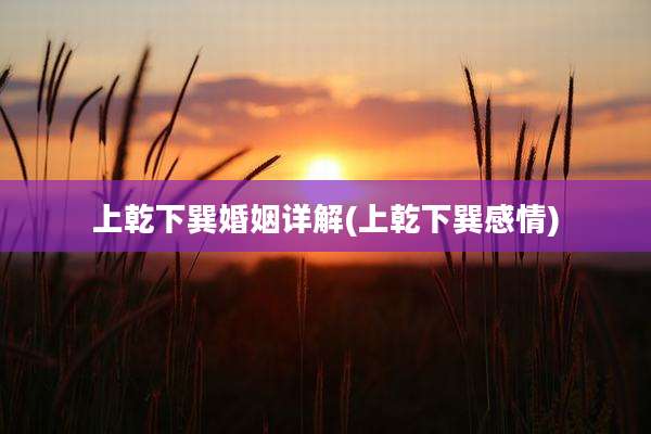 上乾下巽婚姻详解(上乾下巽感情)