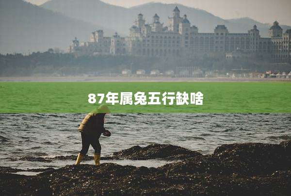 87年属兔五行缺啥