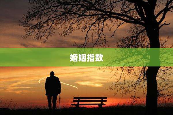 婚姻指数
