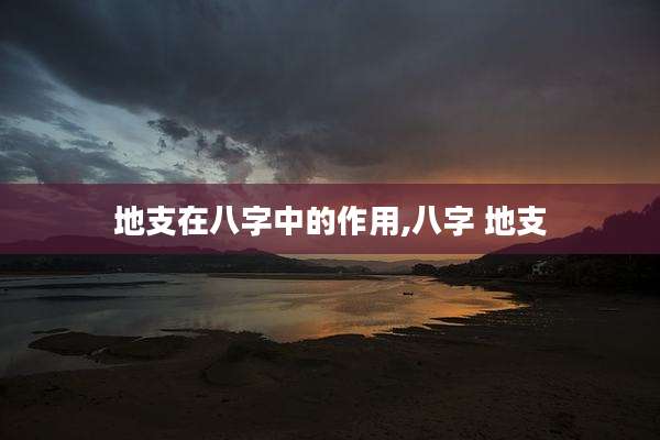 地支在八字中的作用,八字 地支