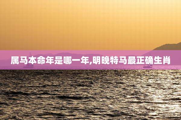 属马本命年是哪一年,明晚特马最正确生肖