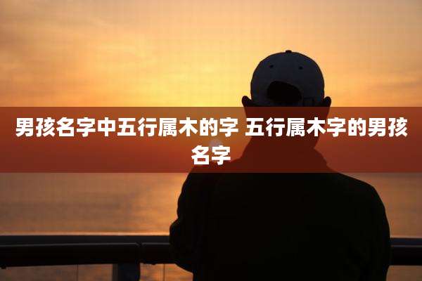 男孩名字中五行属木的字 五行属木字的男孩名字