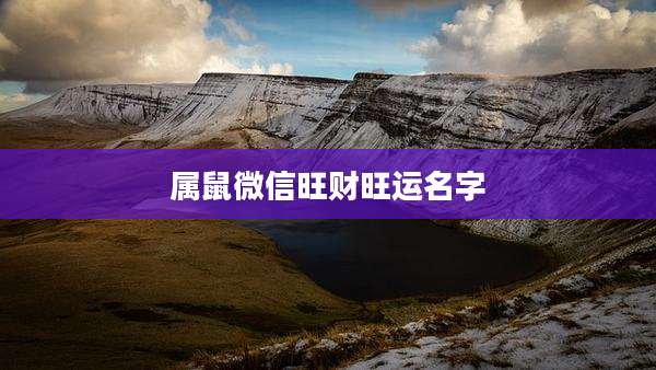 属鼠微信旺财旺运名字