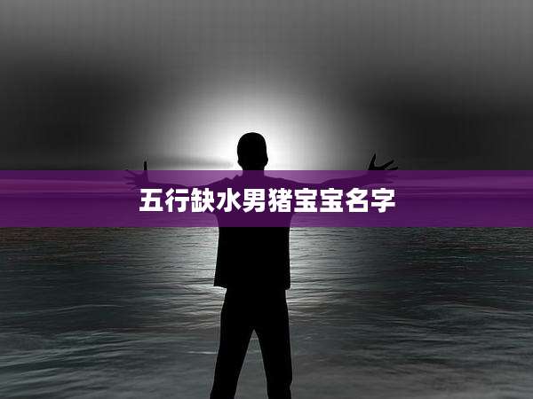 五行缺水男猪宝宝名字