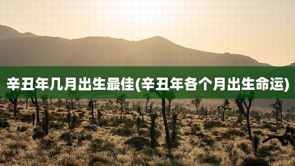 辛丑年几月出生最佳(辛丑年各个月出生命运)