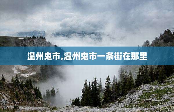 温州鬼市,温州鬼市一条街在那里