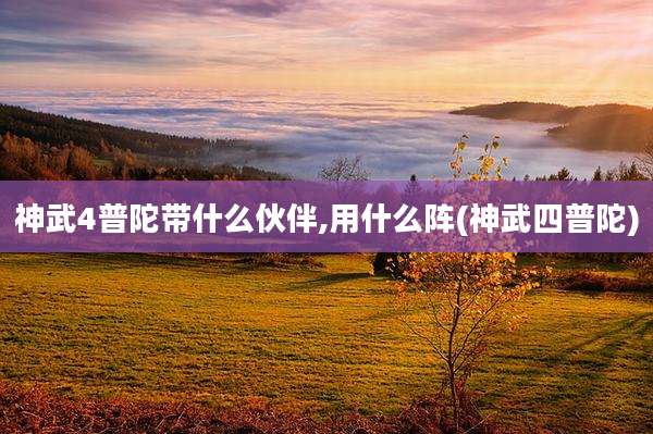 神武4普陀带什么伙伴,用什么阵(神武四普陀)