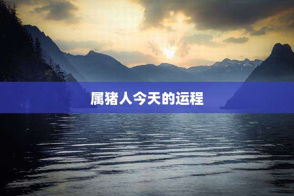 属猪人今天的运程